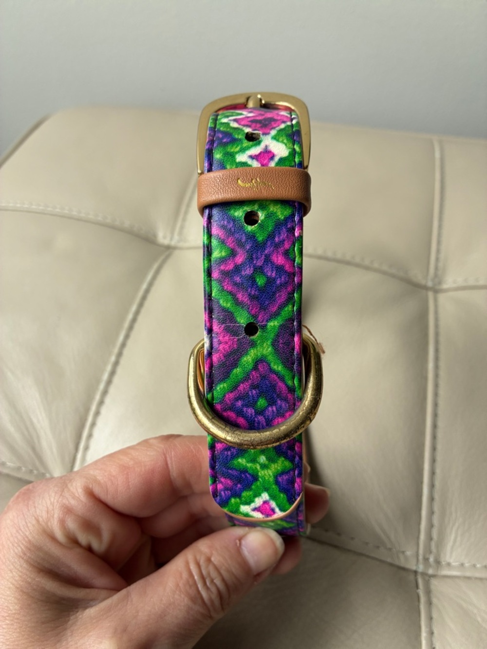 Colorful Leather Dog Collar with Multicolor Floral Trim and Gold-Tone Buckle